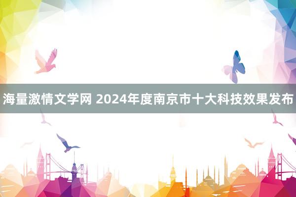 海量激情文学网 2024年度南京市十大科技效果发布