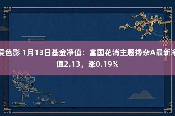 爱色影 1月13日基金净值：富国花消主题搀杂A最新净值2.13，涨0.19%