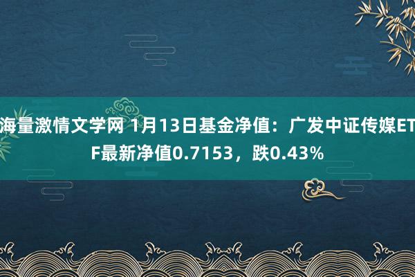 海量激情文学网 1月13日基金净值：广发中证传媒ETF最新净值0.7153，跌0.43%