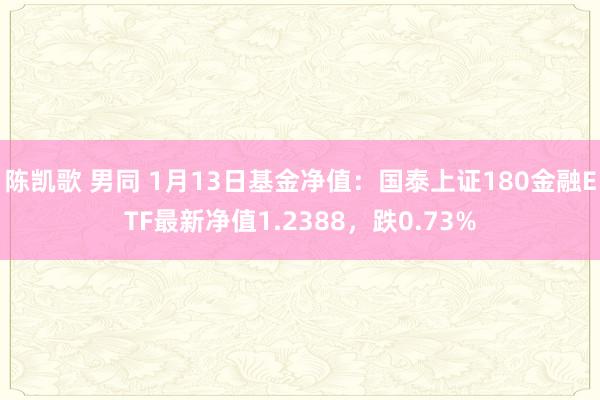 陈凯歌 男同 1月13日基金净值：国泰上证180金融ETF最新净值1.2388，跌0.73%