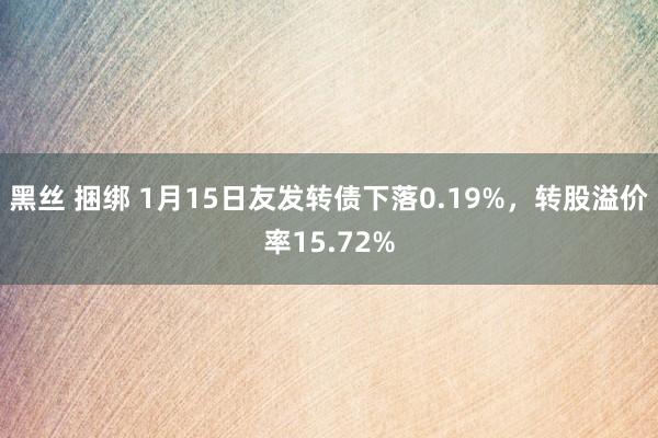 黑丝 捆绑 1月15日友发转债下落0.19%，转股溢价率15.72%