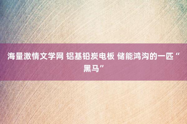 海量激情文学网 铝基铅炭电板 储能鸿沟的一匹“黑马”