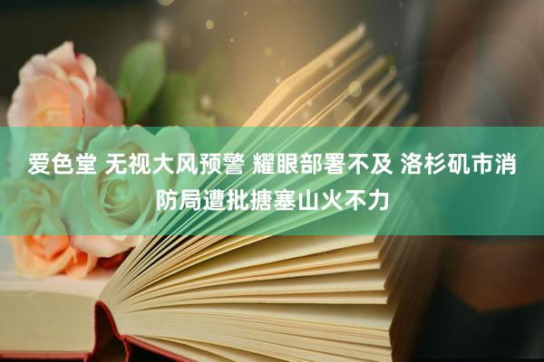 爱色堂 无视大风预警 耀眼部署不及 洛杉矶市消防局遭批搪塞山火不力