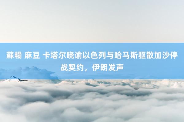 蘇暢 麻豆 卡塔尔晓谕以色列与哈马斯驱散加沙停战契约，伊朗发声