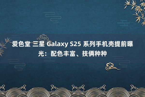 爱色堂 三星 Galaxy S25 系列手机壳提前曝光：配色丰富、技俩种种